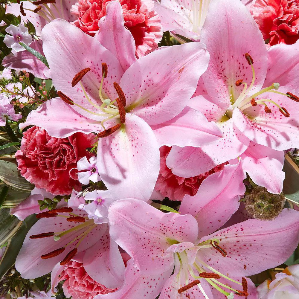 BLOOM & WILD LUXURY MOTHERS DAY FLOWER GIFT SET 3 X WINNERS